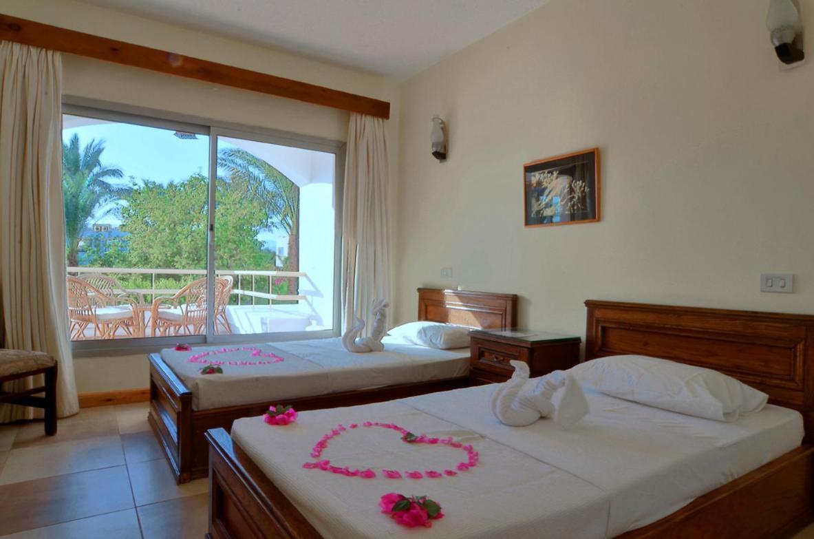 Oonas Dive Club Hotel Шарм ел-Шейх Екстериор снимка
